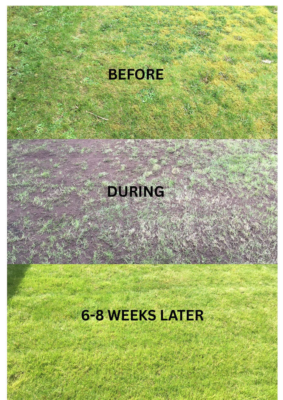 BEFORE_page-0001(1)(1)