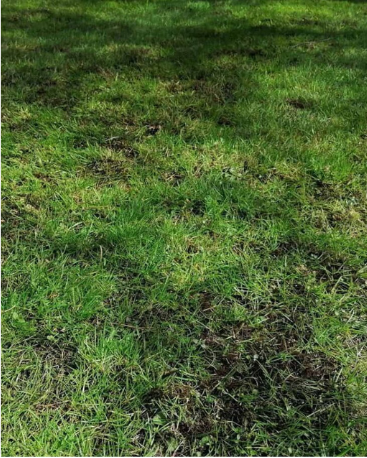 Untitled design(1)(1)